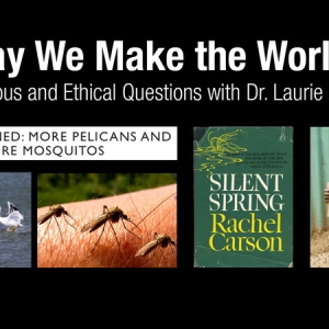 May We Make the World?: Religious and Ethical Questions with Dr. Laurie Zoloth - Burke Lectureship
