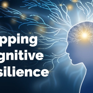 Mapping Cognitive Resilience: How Environment Aging and Inflammation Shape Information Encoding in the Hippocampus