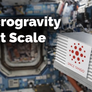 Microgravity at Scale: Turning Insight into Impact