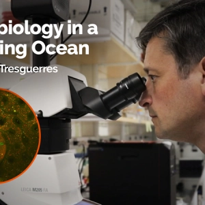 Neurobiology in a Changing Ocean with Martin Tresguerres
