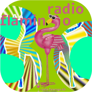 Radio Flamingo 80