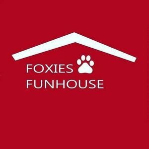 foxies-funhouse