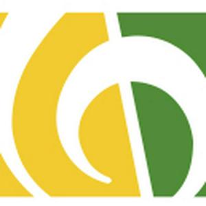 Scv Choere In Sachsen