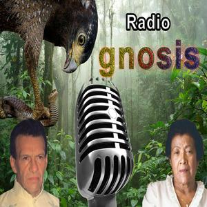 Radio Gnosis
