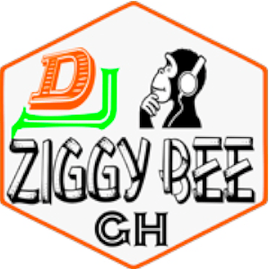 Dj Ziggy Bee pro
