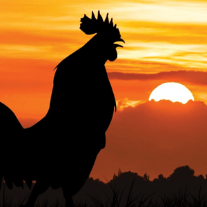 Sunrise Radio Unlock the Jukebox of Hits