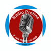Radio Proline