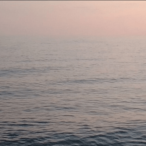 Omdaru New Collections