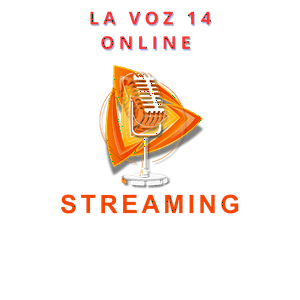 La voz 14 online