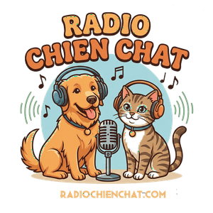 Radio Chien Chat