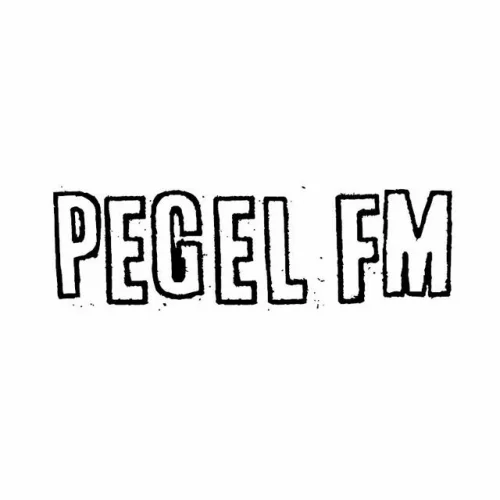 Pegelfm