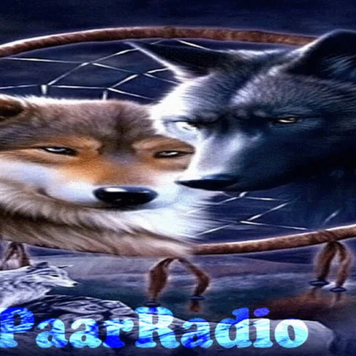 Wolfspaarradiode