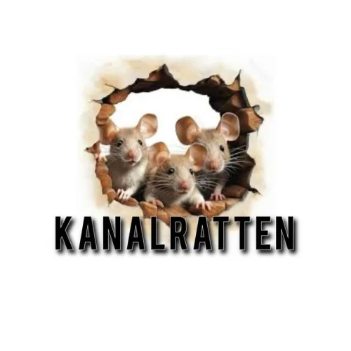 Kanalratten