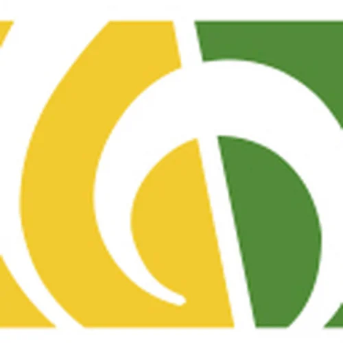 Scv Choere In Sachsen