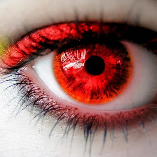 The Crazy Orginals Fm