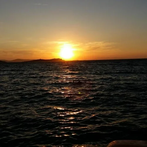 Barracuda Beach Club