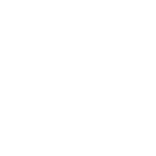 Radio Record - Christmas