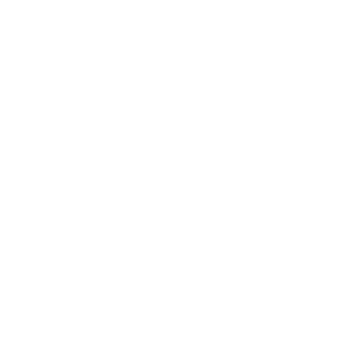 Radio Record - Rap Hits