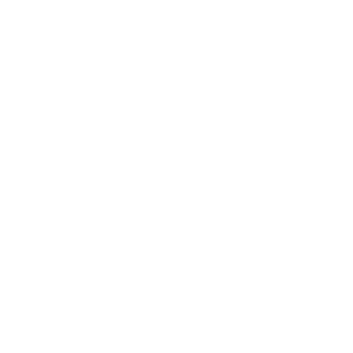 Radio Record - VIP House