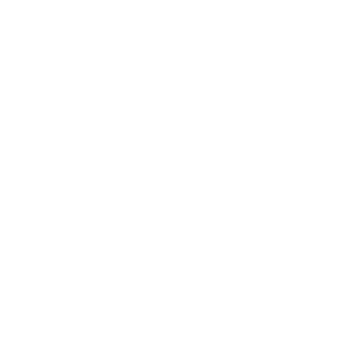 Radio Record - Mashup