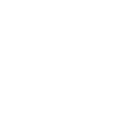 Radio Record - Рекорд 00-х