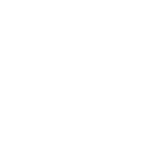 Radio Record - Lady Waks