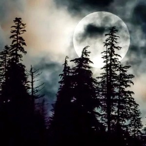 Folk Black Metal - Radio Caprice