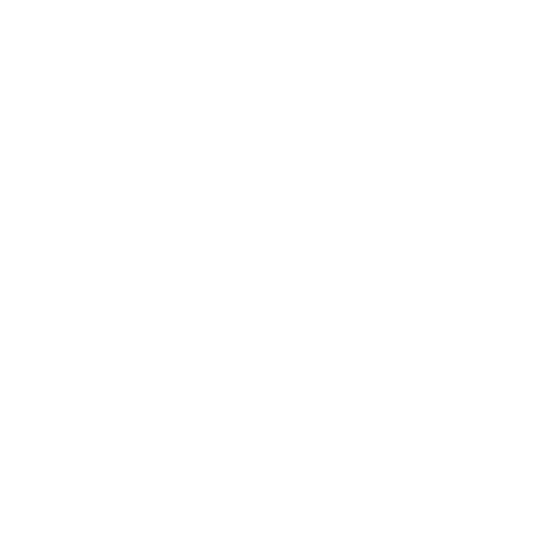 Radio Record - Pirate Station