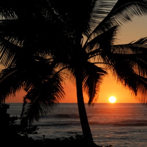 Balearic Beat / House | Ibiza House / Chillout - Radio Caprice