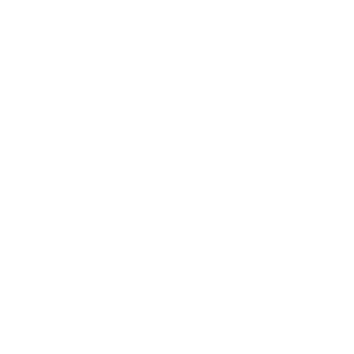 Radio Record - Record 80-х