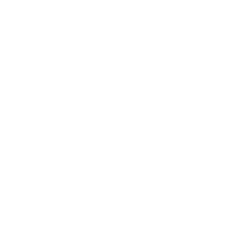 Radio Record - Record Classix