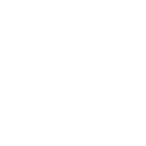 Radio Record - Колбасный Цех
