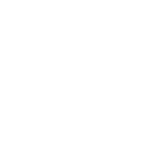 Radio Record - Top 100 Edm