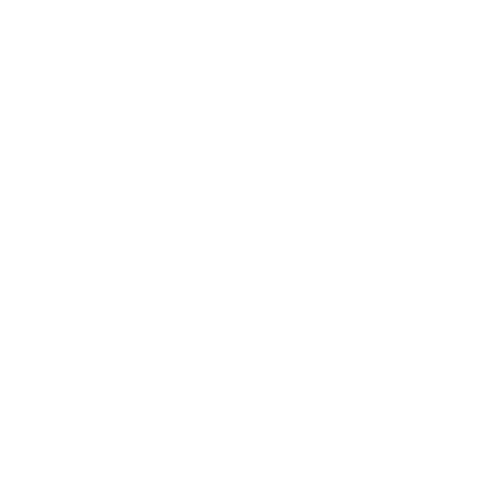 Radio Record - Feel