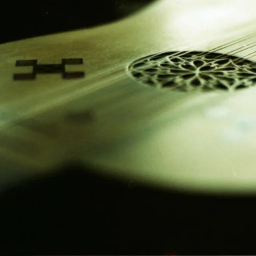 Ein Achtel Lorbeerblatt