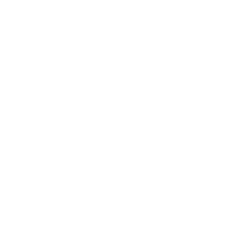Radio Record - 2-step