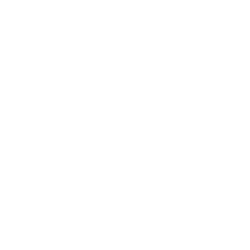 Radio Record - Russian Mix