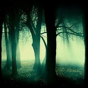 Field Recordings - Radio Caprice