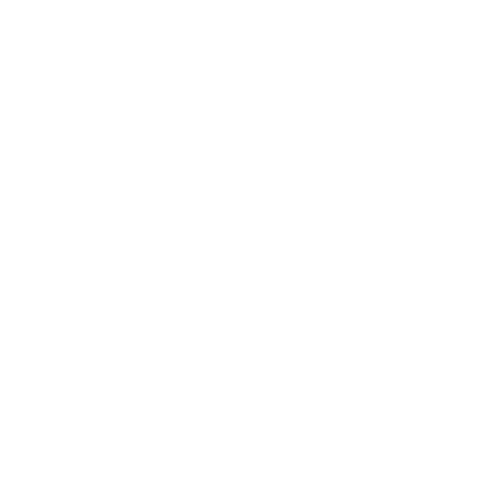 Radio Record - Electro