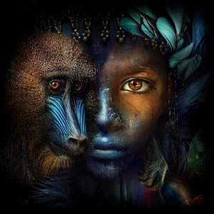 Organic House - Radio Caprice