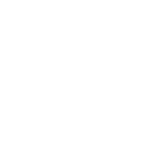 Radio Record - Tech House