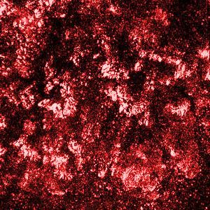 Harsh Noise - Radio Caprice