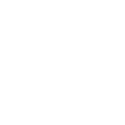 Radio Record - House Hits