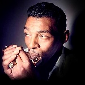 Harmonica / Harp Blues - Radio Caprice