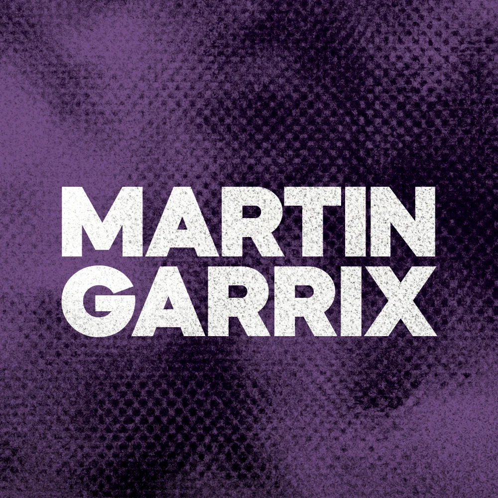 DFM - Martin Garrix