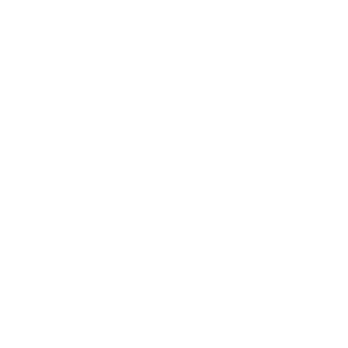 Radio Record - Bass House