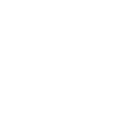 Radio Record - Remix