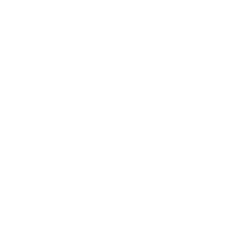 Radio Record - Darkside