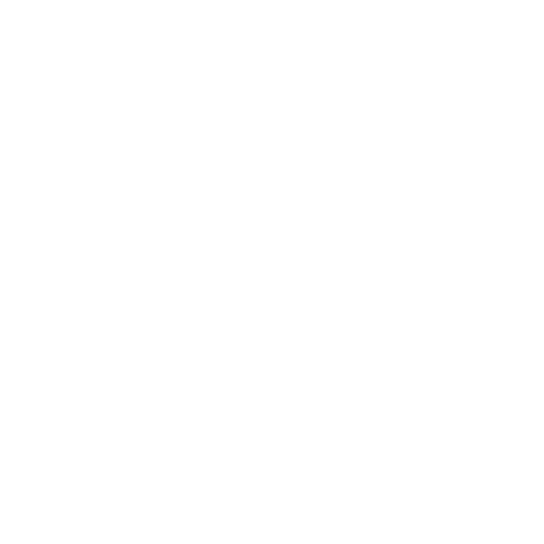 Radio Record - Festivals