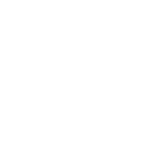 Radio Record - Workout
